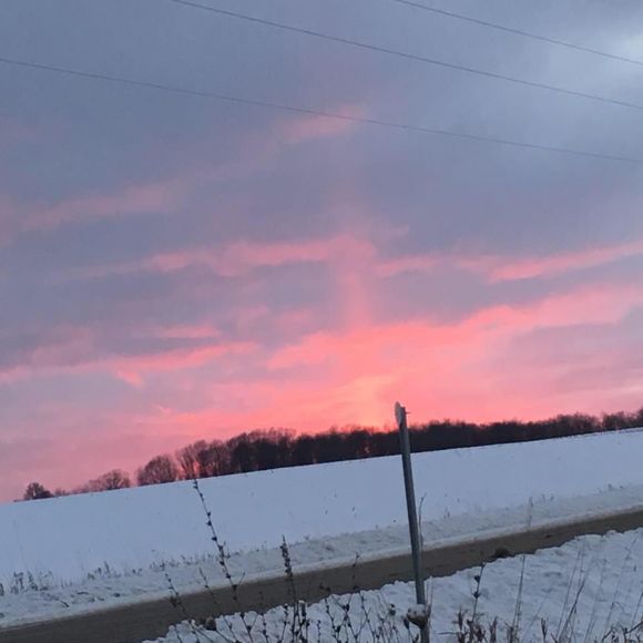 Meet your Posher, Kelly - Picture 1 of 1